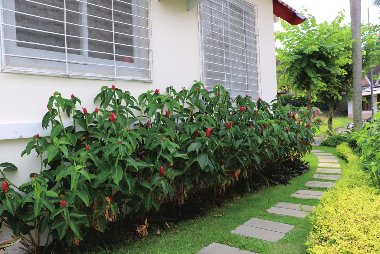 Diyar Villas Puncak M4/12 Exterior foto